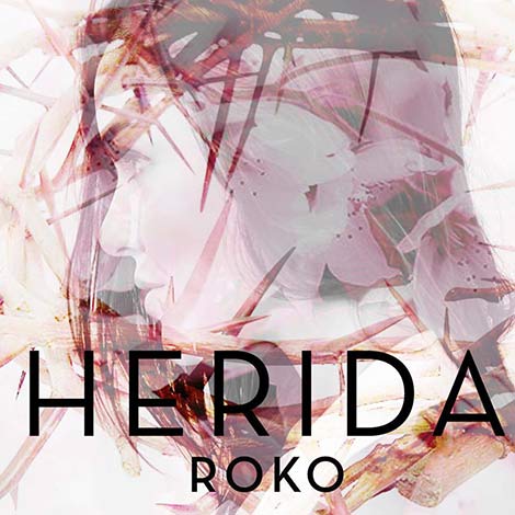 Primer disco de Roko